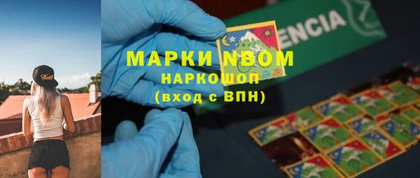 сатива Алексеевка