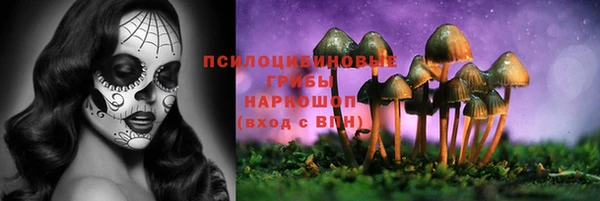 гидра Алексин