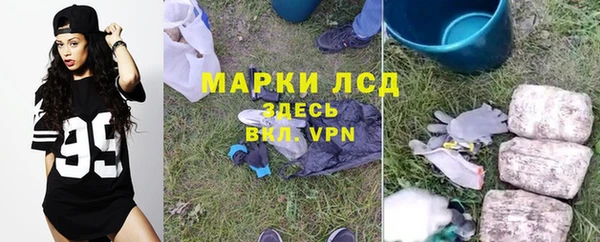 гидра Алексин