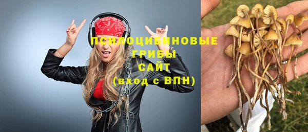 сатива Алексеевка